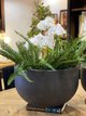 Large Black Planter