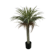 110CMH FROSTED GREEN PONYTALE PALM TREE