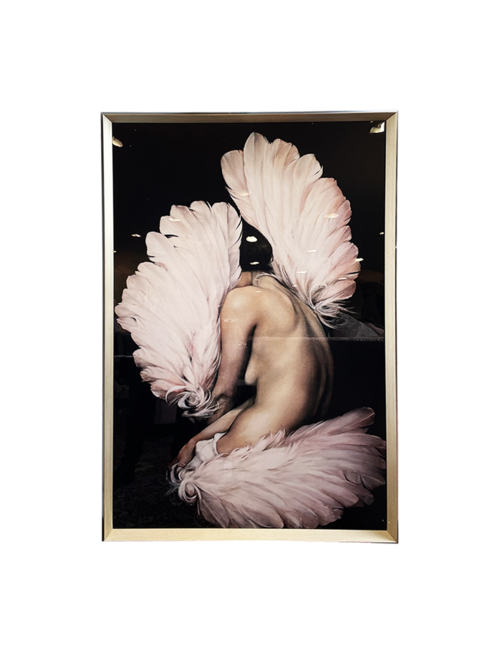 FEATHER BURLESQUE IN BLACK/SILVER FRAME