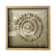 BOXED ART SEA SNAIL IN SPIRAL SHAPE