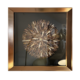 Boxed Wall Art Sea Shells In Star Burst 