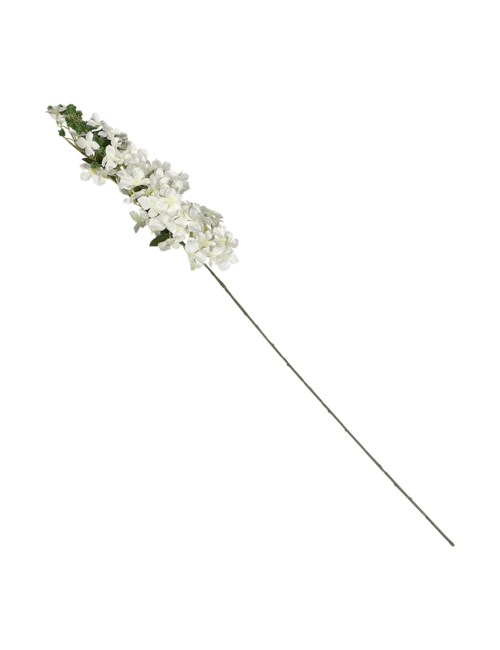 White Flower on Long Stem