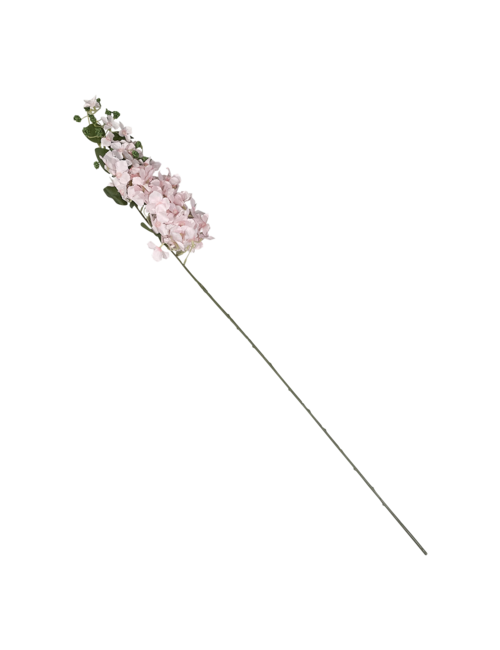 Pink Flower on Long Stem