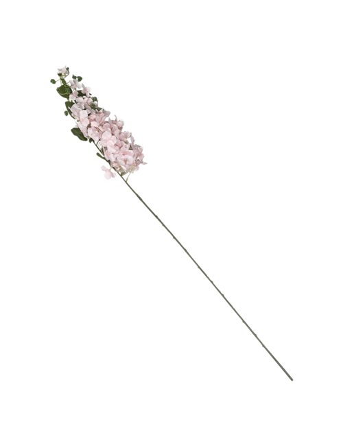 Pink Flower on Long Stem