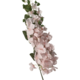 Pink Flower On Long Stem