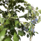 Dark Blue Berry Branch Garland