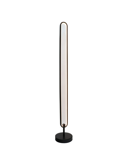 Black Camden Led Floor Lamp