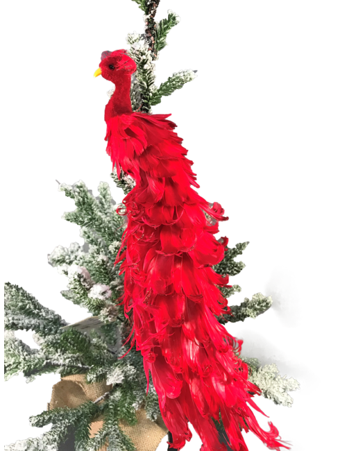44CML RED FEATHER PEACOCK Christmas Affordable Luxury Living
