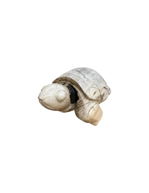 Small Petrified Wood Turtle
