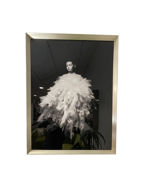65CM X 85CM WHITE FEATHER LADY BLACK BACKGROUND IN BLACK/SILVER FRAME