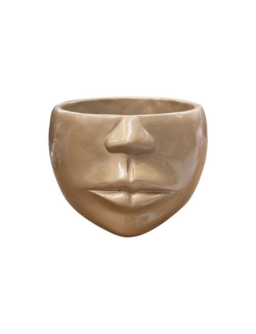 Large Gold Look Half Face Vase