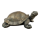 15.7cml Turtle