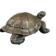 15.7cml Turtle