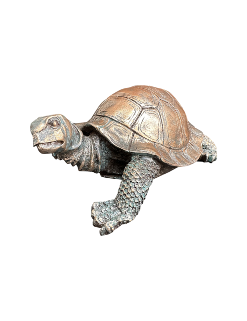 17cml Turtle