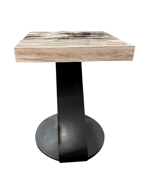 Square Petrified Wood side table