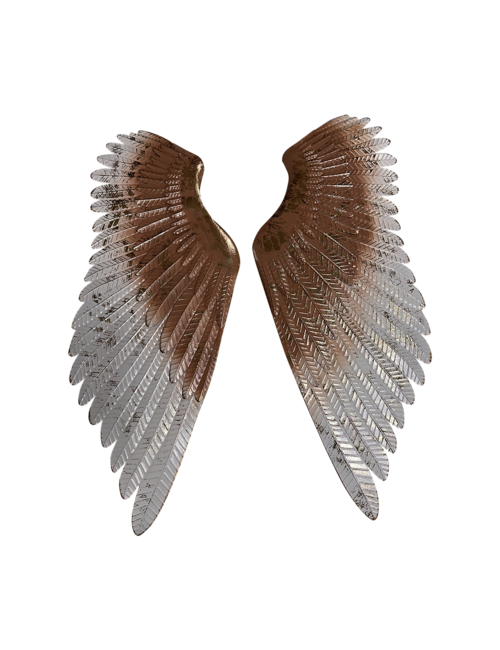 Blush wings