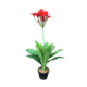 Red Flower In Pot