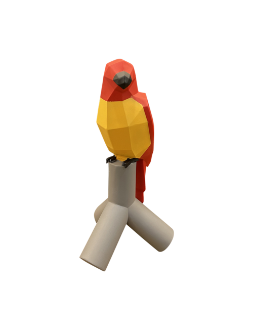 Colourful Large Parrot