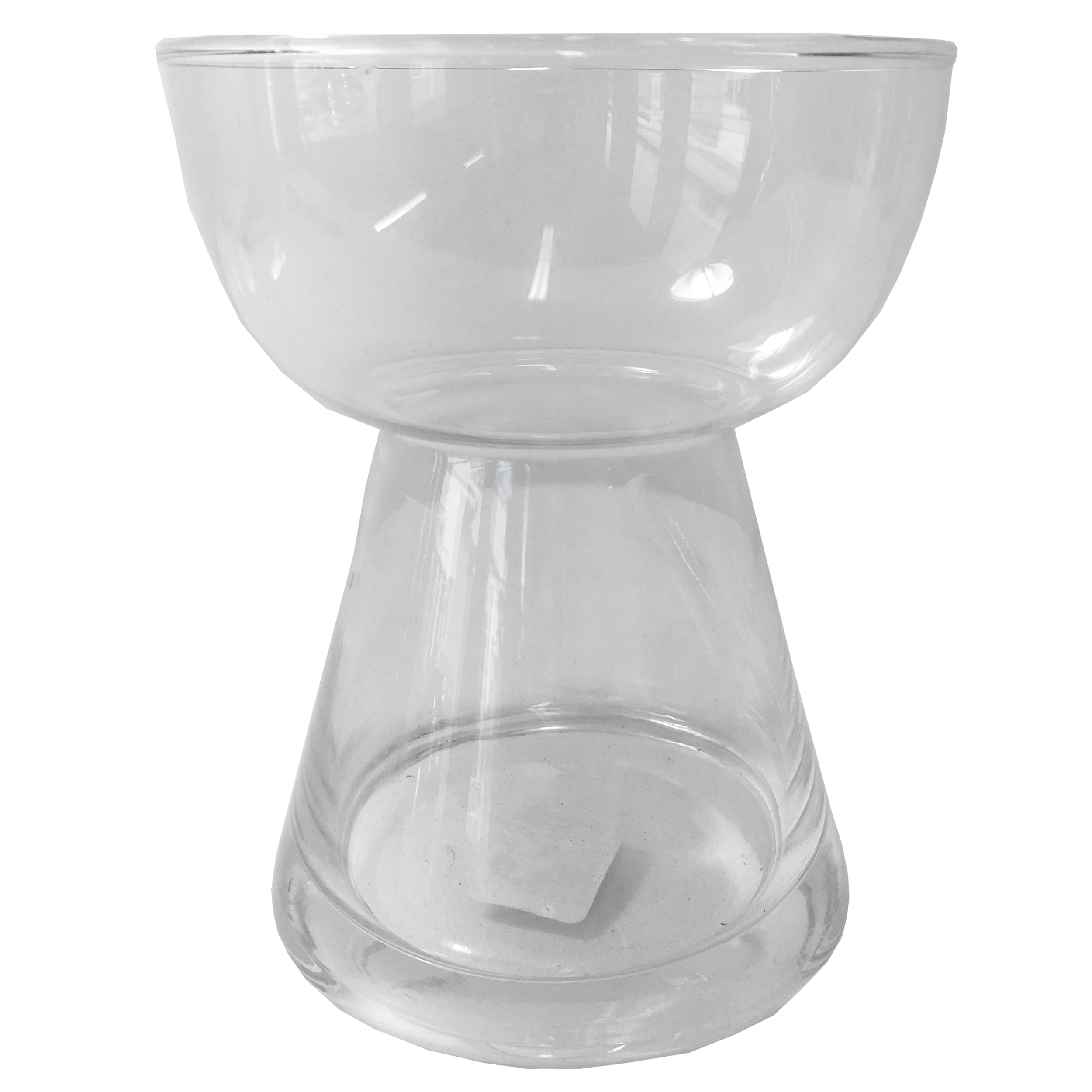CLEAR GLASS AMARYLLIS VASE DecorHome Decor Affordable Luxury Living Interior