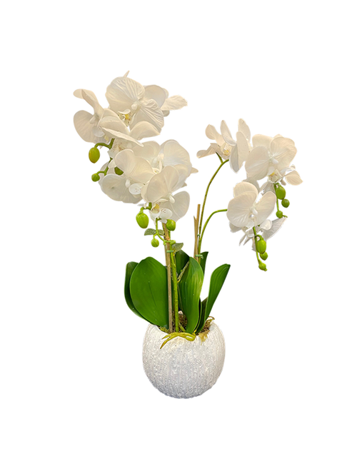 4 STEM WHITE ORCHID IN ROUND WHITE POT