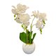 4 STEM WHITE ORCHID IN ROUND WHITE POT