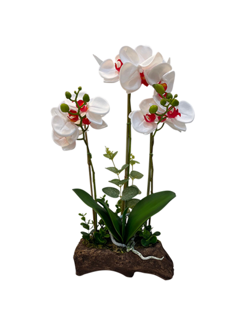 3 STEM WHITE - PINK CENTRE ORCHID ON BRANCH