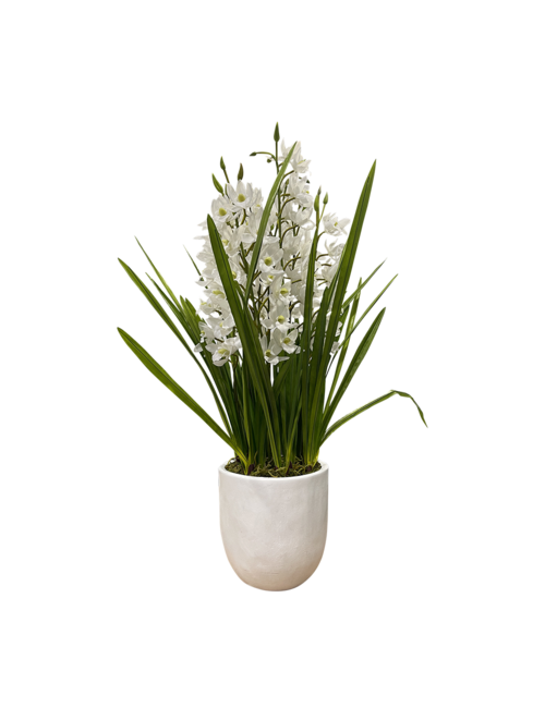 SMALL FLOWER WHITE 9 STEM ORCHID FLOWER IN WHITE POT