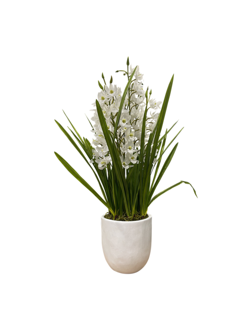 SMALL FLOWER WHITE 9 STEM ORCHID FLOWER IN WHITE POT