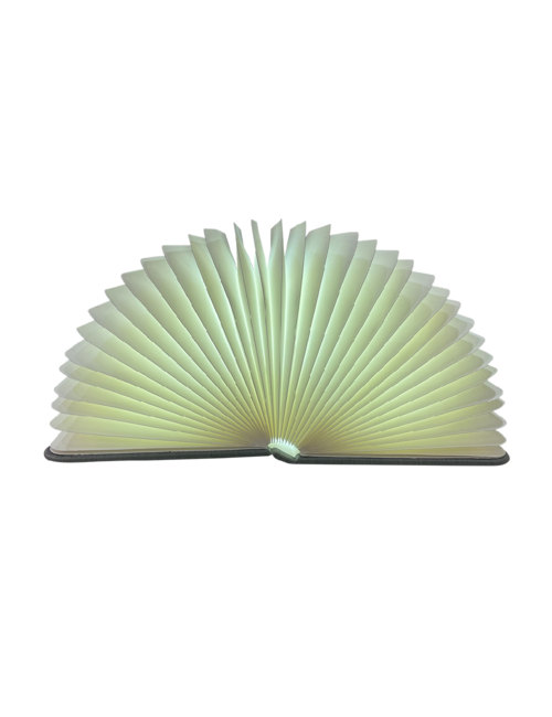 Grey Cover 4 Colour Led Book Light 21Cm