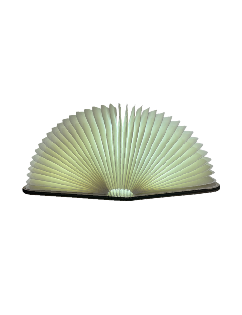 Wood Cover 4 Colour Led Book Light 14Cm