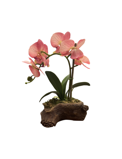 SMALL SINGLE STEM PINK ORCHID ON ROCK BASE