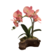 SMALL SINGLE STEM PINK ORCHID ON ROCK BASE