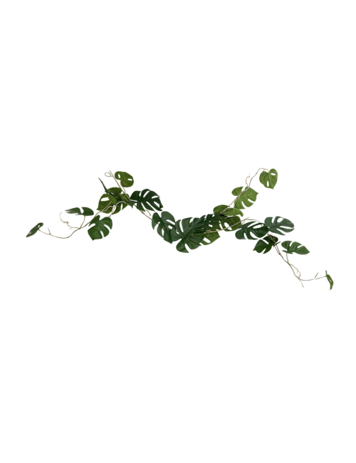 100Cm Split Philo Garland