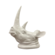 White Rhino