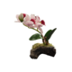 SMALL SINGLE STEM PINK - DEEP PINK CENTRE  ORCHID ON ROCK BASE 1