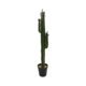 3 PRONG CACTUS