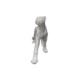 Silver Leopard