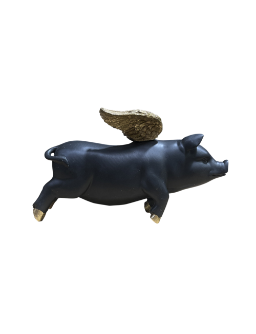 LARGE FLYING PIG