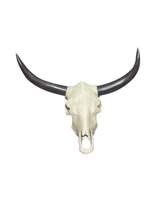 LARGE NATURAL RESIN BULL SKULL