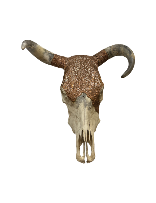 Copper Embellished Skull